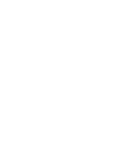 icon of a lightbulb